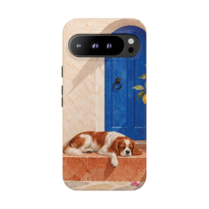 Cavalier King Charles Spaniel Blue Door Siesta Phone Case - Multicolor Phone Case - Google Pixel 9 Pro XL / Glossy