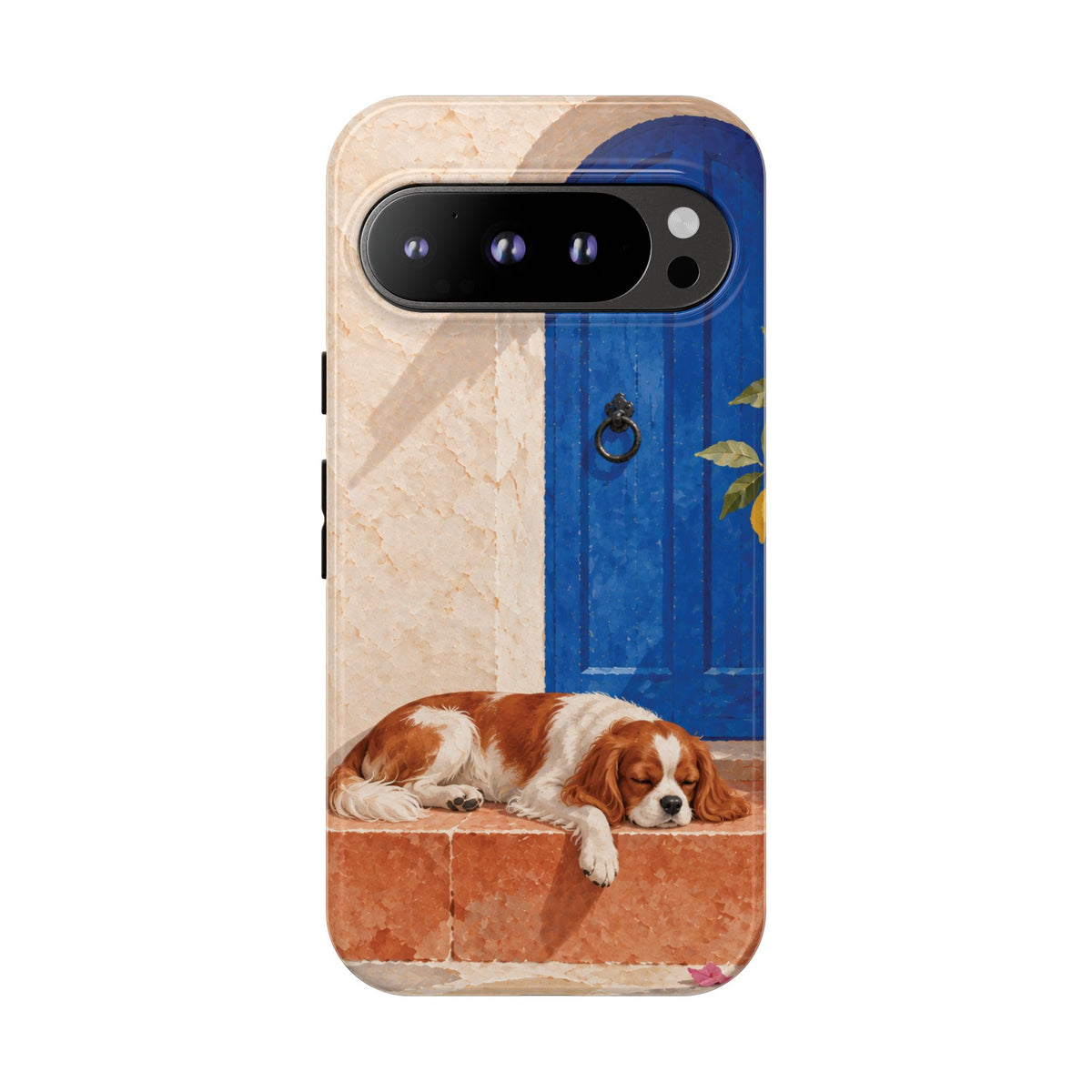 Cavalier King Charles Spaniel Blue Door Siesta Phone Case - Multicolor Phone Case - Google Pixel 9 Pro / Glossy